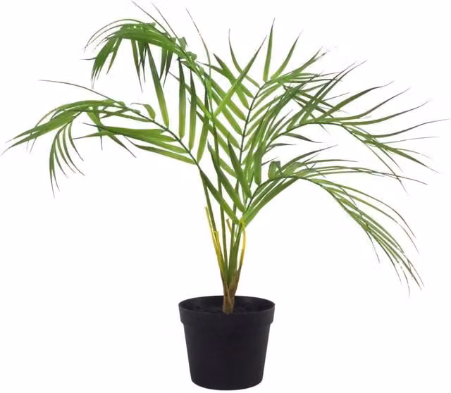Leaf Design UK Realistic Artificial Palm Plant in a Black Pot, Green Tabletop Foliage