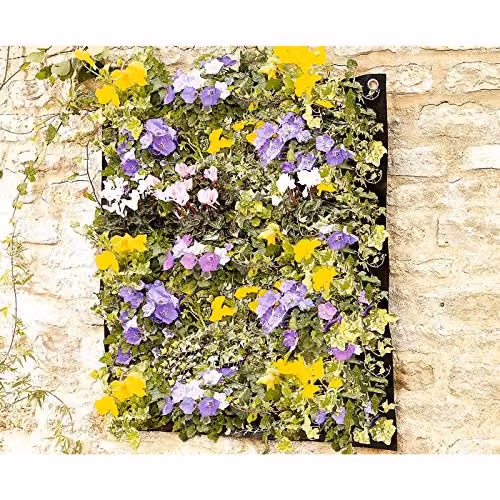 Burwells 9 Pocket Vertical Wall Planter in Black, W/H: 70 x 70 cm – 2