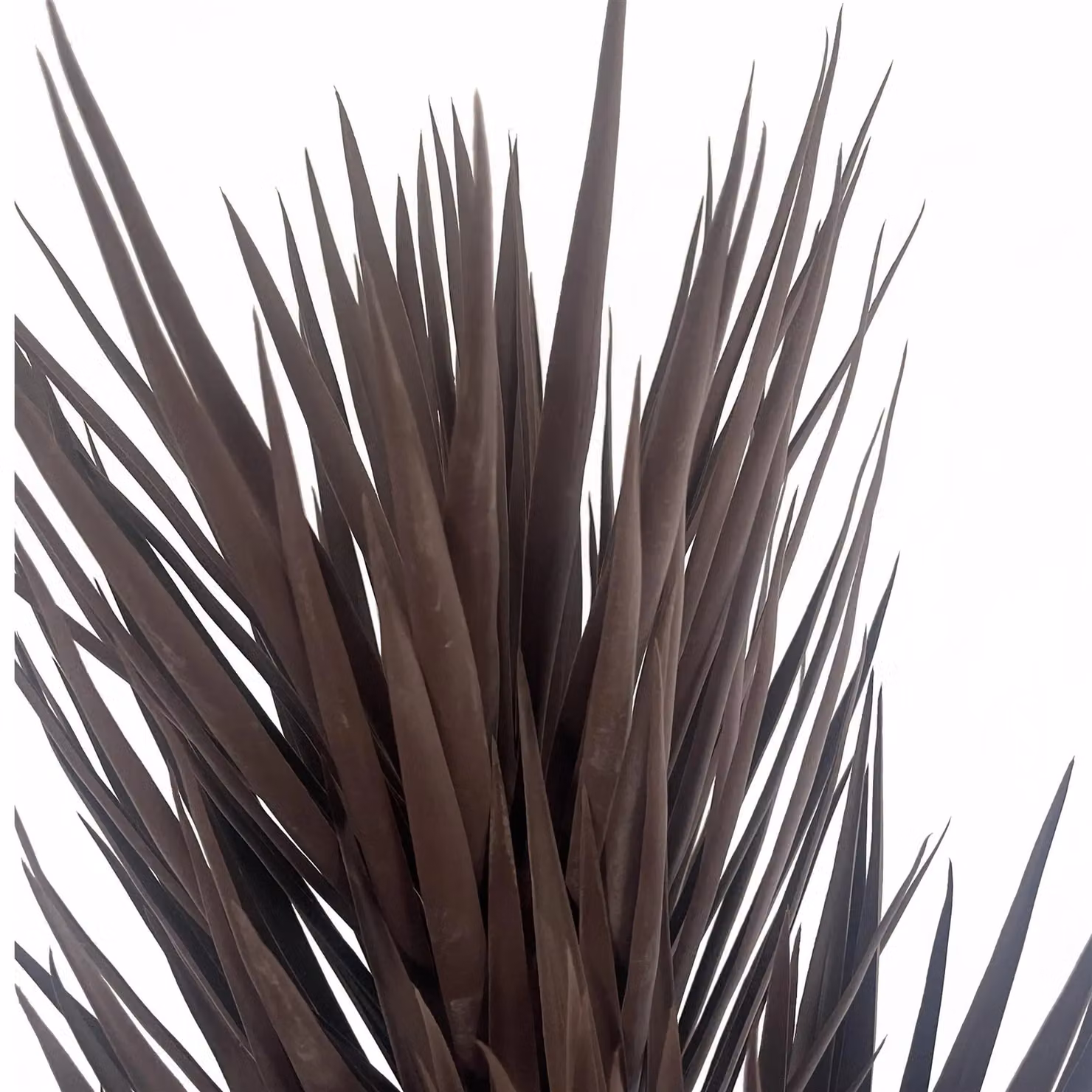 Leaf Design UK Artificial Triple Yukka Tree, 155cm Tall, Dark Brown and Black – 3