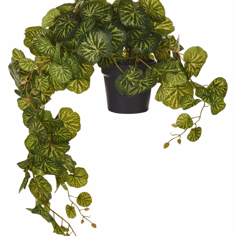 Wyld and Coco Charmi Green Artificial Hanging Plant with Concrete Base, Height: 37 cm – 2