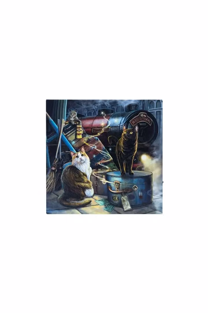 KDMD Witchwood Express Light Up Canvas Plaque in Blue and Multicolour, W/D/H: 30 x 30 x 30 cm – 2
