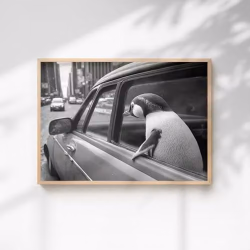 60 Second Makeover Penguin In A Car Illustration Paper Poster, A3, Black and White