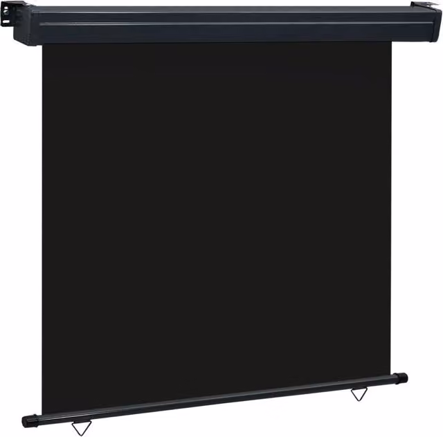Berkfield Home Balcony Side Awning in Black, W/H: 170 x 250 cm