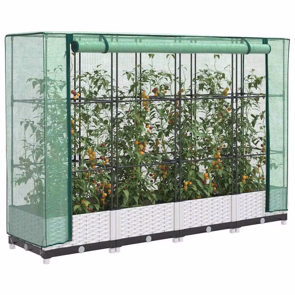 Berkfield Home Raised Bed with Greenhouse Cover in White Rattan Look, W/D/H: 160 x 40 x 123 cm – 2