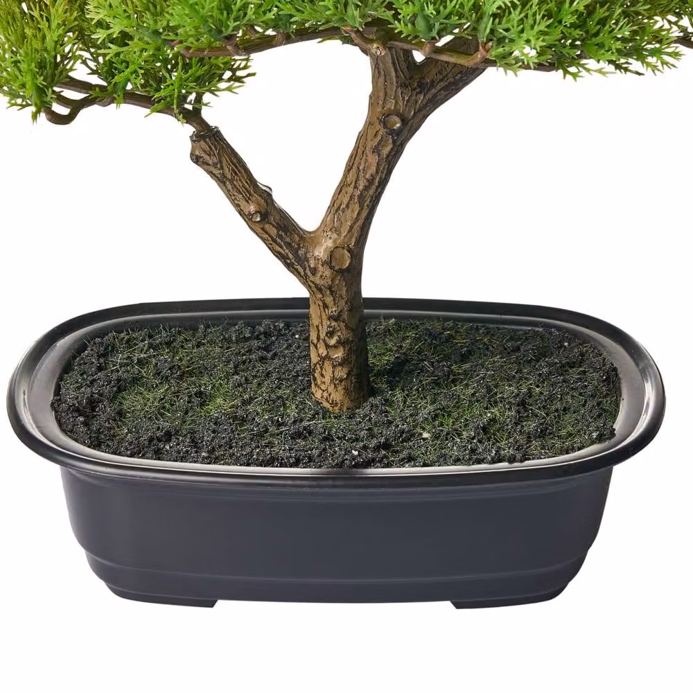 Wyld and Coco Artificial Oriental Bonsai Tree in a Black Concrete Pot, Green, Height: 37 cm – 3