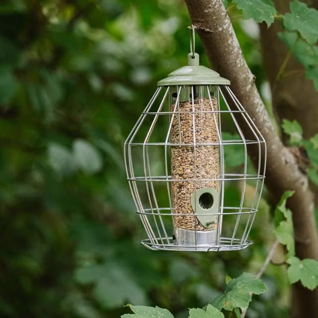 Peckish Canto Squirrel Proof Seed Feeder in Green Metal
