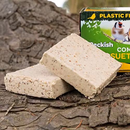 Peckish Complete Suet Cake Block for Wild Birds, 300 g, Natural – 2