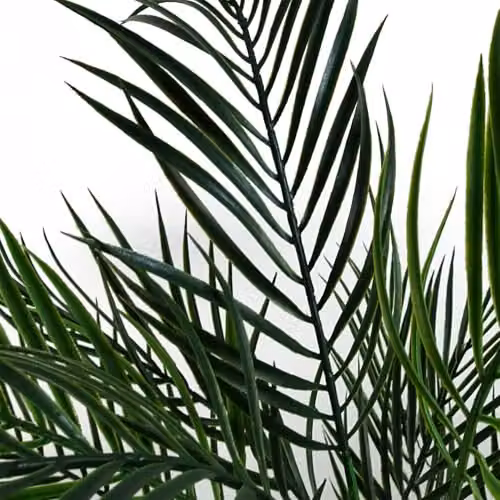 Leaf Design UK Large Artificial Green Palm Tree, 125 cm Height – 3