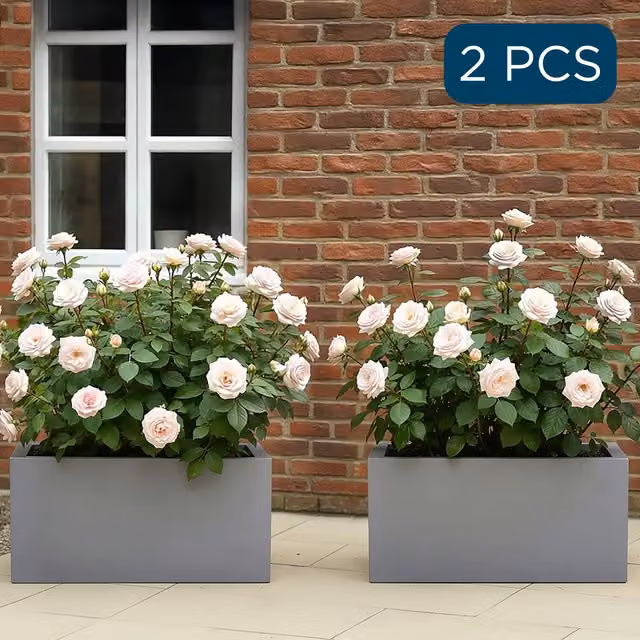Idealist Set of 2 Grey Stone Trough Rectangular Garden Planters for Outdoor Herb and Vegetable Gardens