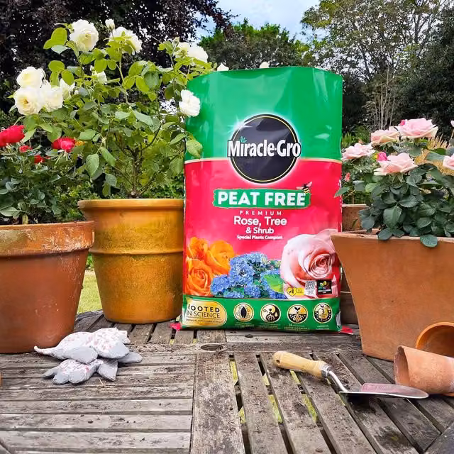 Miracle-Gro Rose Tree Shrub Compost 20 l