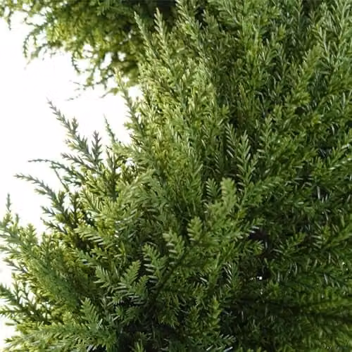 Botanik Realistic Artificial Green Topiary Tree, H 120 cm x W 35 cm x D 35 cm – 2