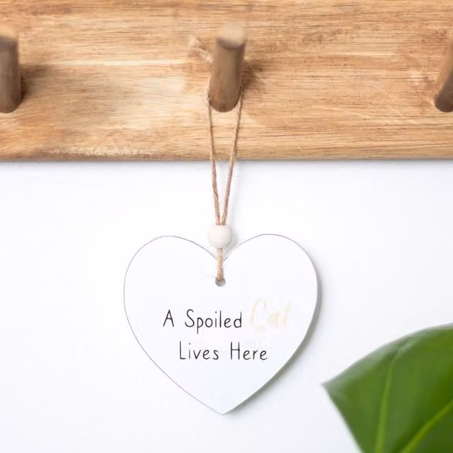 Kingsbury Gifts Small White Hanging Heart Wall Plaque A Spoiled Cat