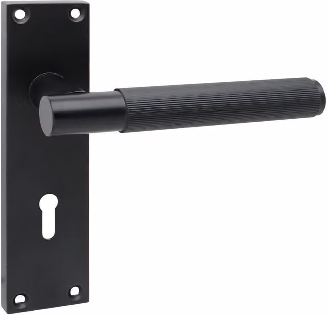 Golden Grace Matt Black Door Handle with Screws