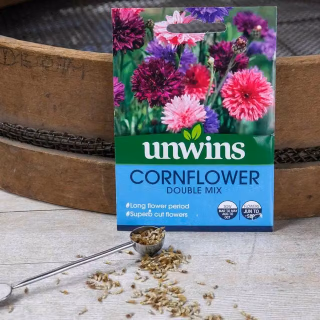 Unwins Cornflower Double Mix Multicolour Ornamental Flower Seeds, 450 g