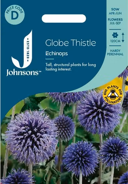 Johnsons Seeds Blue Globe Thistle Echinops Ornamental Flower Seeds