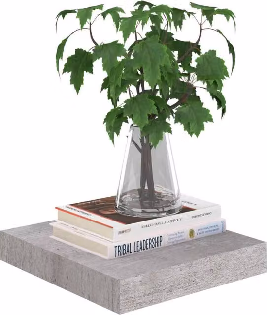 Berkfield Home Durable Floating Wall Shelves, 2 Pack, Concrete Grey, W/D/H: 23.5 x 23.5 x 3.8 cm