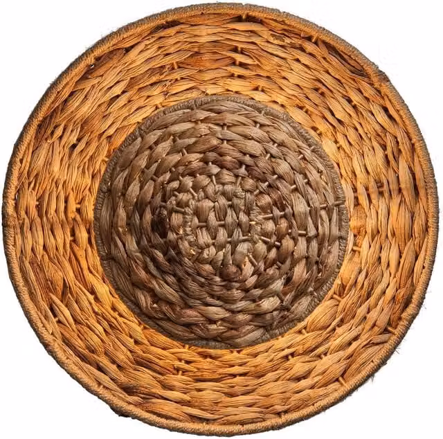 Industville Sea Grass Round Diffuser Wall Light in Natural and Brass