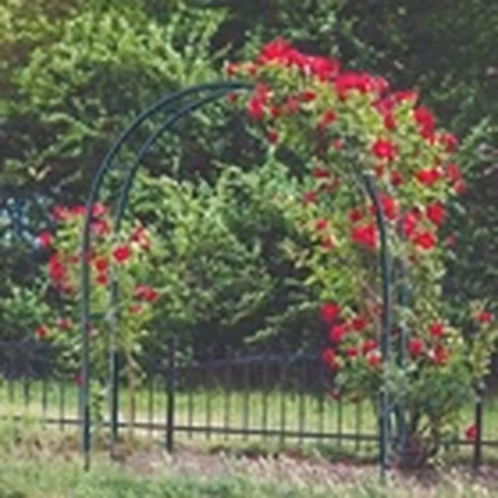 EONLION Metal Garden Arch Arbor for Climbing Plants and Wedding Decor, Green, H 240 cm x W 140 cm – 3