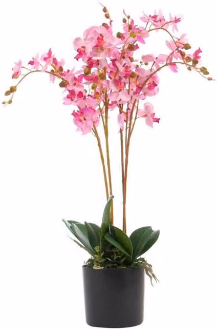 Leaf Design UK Artificial Potted Phalaenopsis Orchid Plant in White and Pink