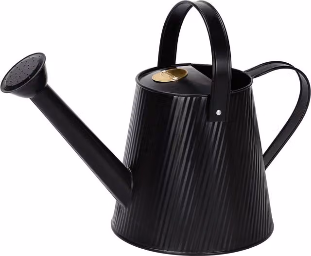 Simpa Metal Watering Can with Rose in Black, 3 l
