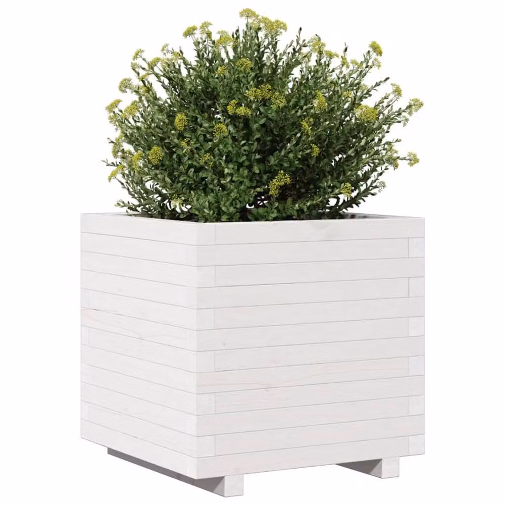 Berkfield Home Decorative Garden Planter Tub, White, W/D/H: 50 x 50 x 49.5 cm, Solid Wood – 2