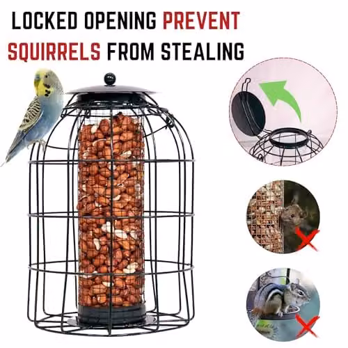 Samuel Alexander Pack of 2 Black Metal Wild Bird Hanging Nut Feeders with Squirrel Guard – 4