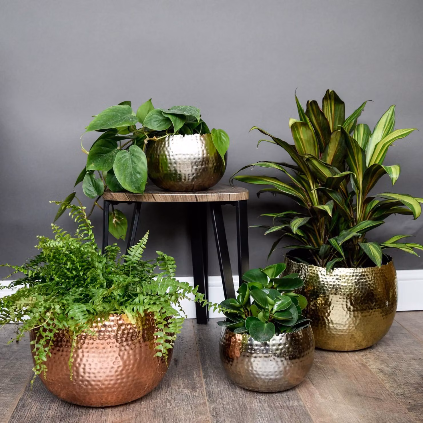 Ivyline Round Hammered Metal Planter Bowl in Copper and Black, H 14 cm x D 19 cm – 6