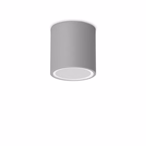 Netlighting Techo Grey Surface Mounted Outdoor Downlight IP54