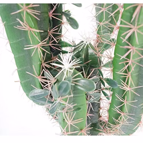 Leaf Design Green Potted Artificial Cactus Succulent, Height: 75 cm – 2