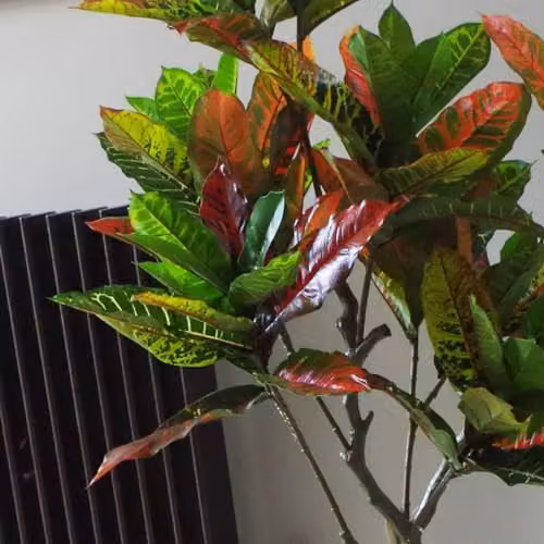 Botanik Artificial Potted Office Tree in Green, Orange and Yellow, H 130 cm x W 60 cm x D 60 cm – 4