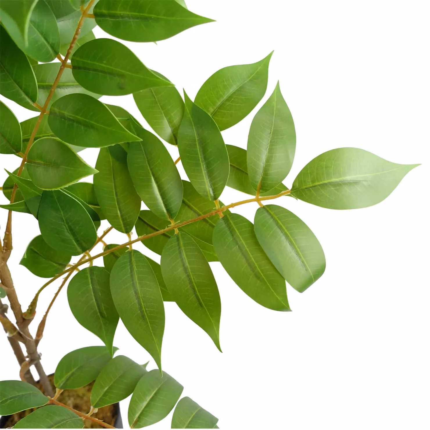 Leaf Artificial Toona Sinensis Potted Tree in Green, Height: 65 cm – 4