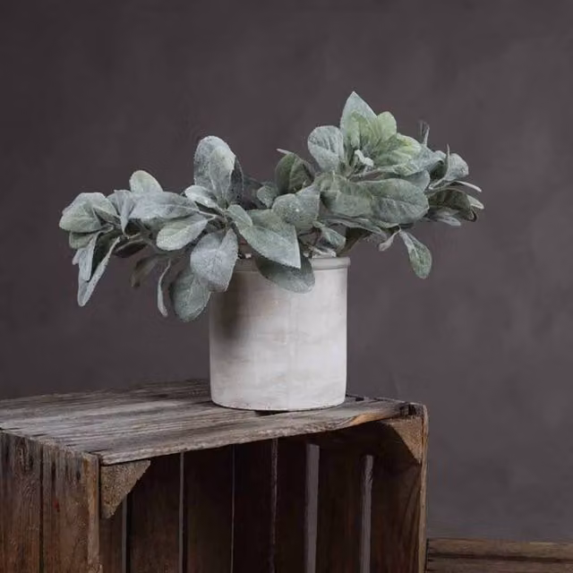 Lemon Pavilion Green Artificial Lambs Ear Plant, W16 x D16 x H35 cm – 1