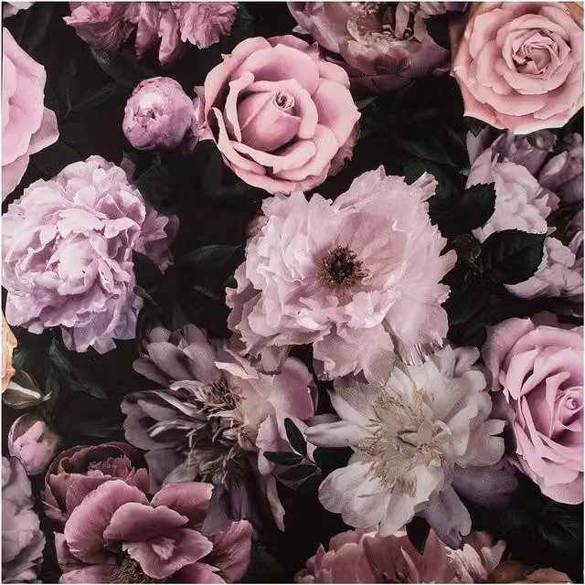 Fresco Pandor Drama Floral Wallpaper in Pink and Purple, Width: 52 cm – 1