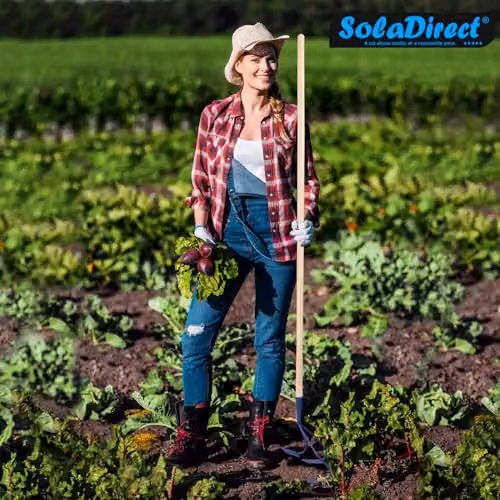 SolaDirect 3-Prong Hand Soil Cultivator and Scarifier with Steel Head in Blue and Multicolour – 2