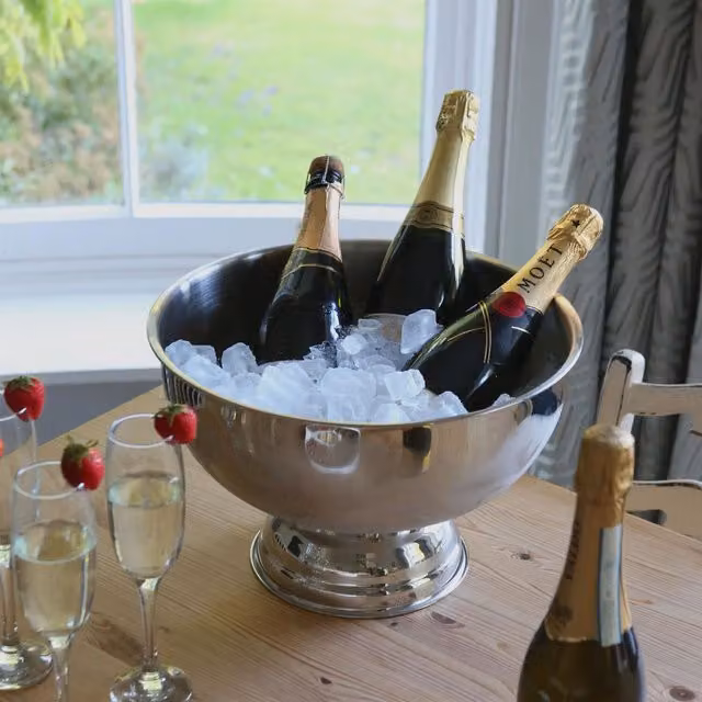 Rink Drink Stainless Steel Champagne Ice Bucket - Silver