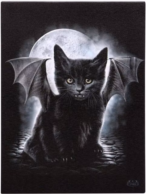 Spiral Direct Bat Cat Gothic Canvas Plaque, Black, W: 25.0 cm, H: 19.0 cm