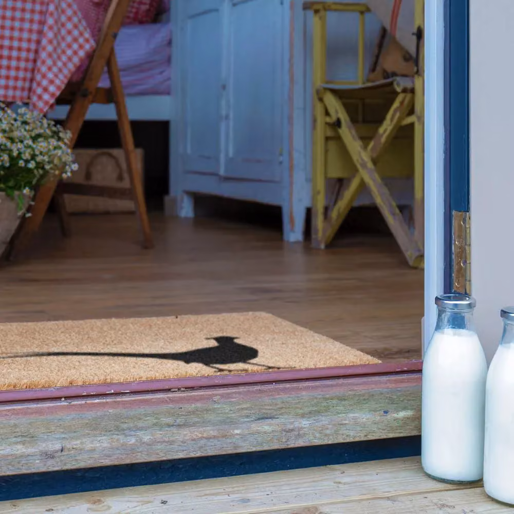 Artsy Mats Country Home Pheasant Doormat in Black and Multicolour, W: 90 cm, D: 60 cm – 4