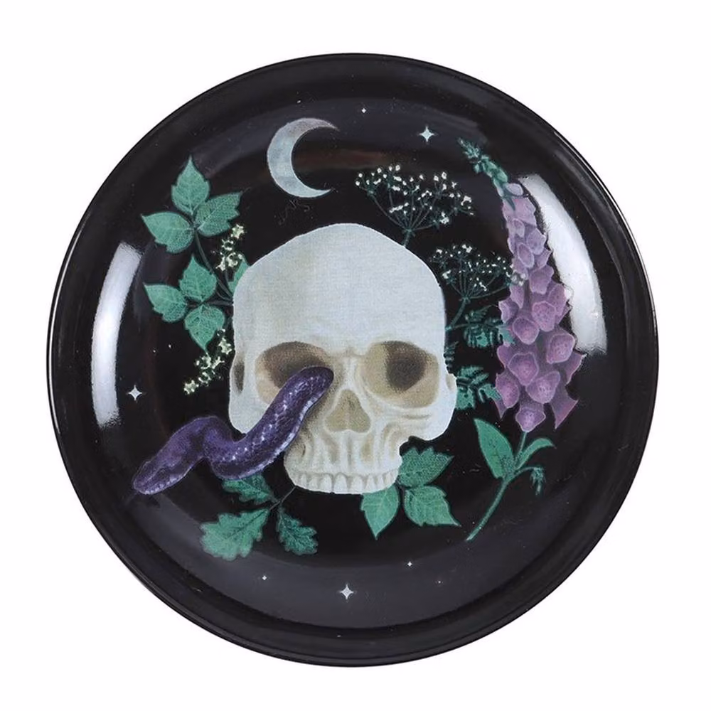Uniqueful Venom and Vines Skull Trinket Dish in Black – 3