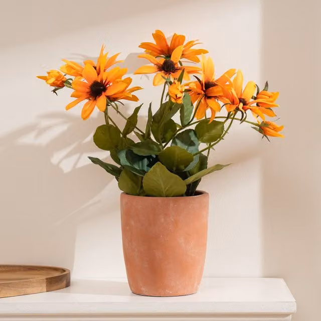 Scottish Everlastings Ltd Orange Rudbeckia in a Terracotta Ceramic Pot, Height: 33 cm – 1