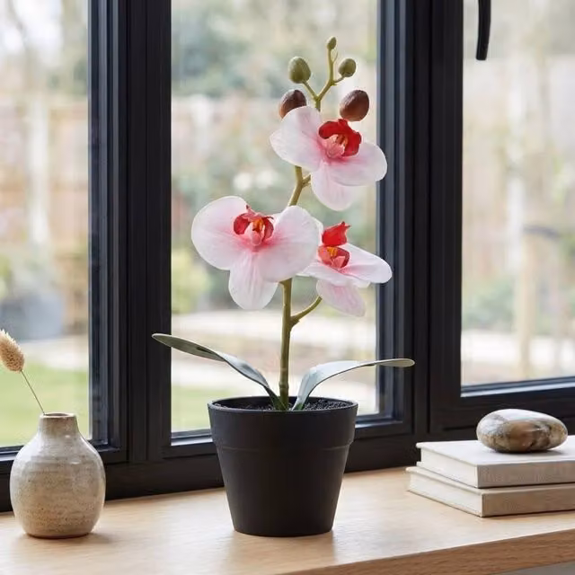 Garden Greatness Artificial Blush Mini Orchid in Pot, Pink and Multicolour