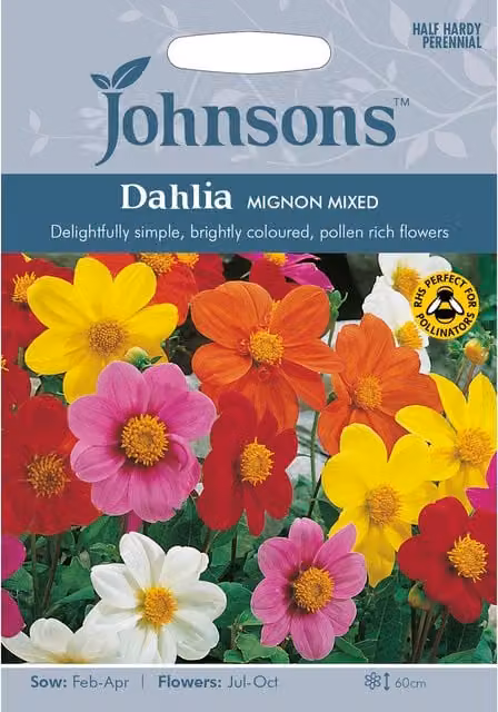 Johnsons Mignon Mixed Dahlia Ornamental Flower Seeds, Multicolour