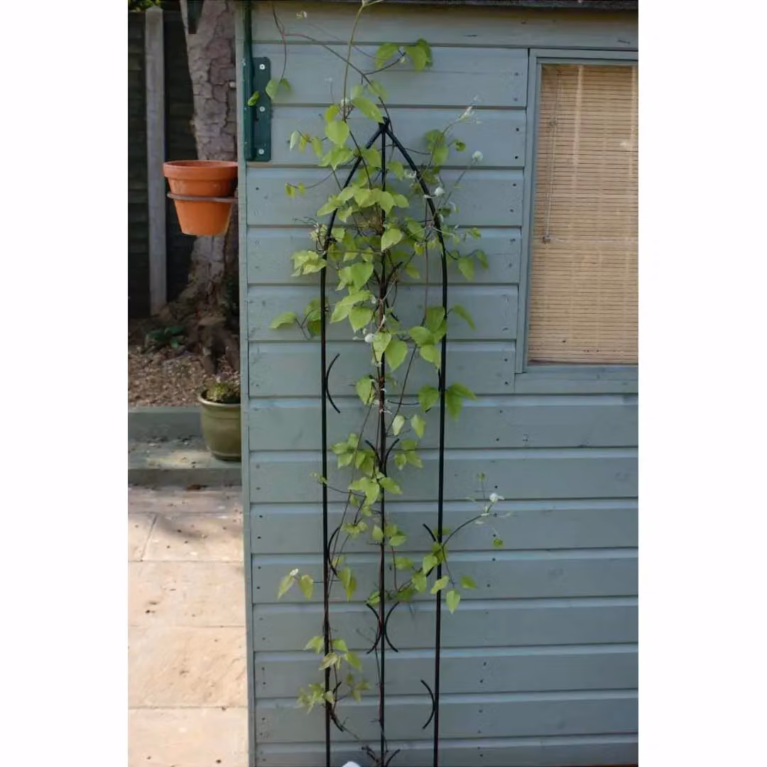 Poppyforge Triple Gothic Steel Trellis Screen in Black, W: 91.4 cm, H: 180 cm – 2