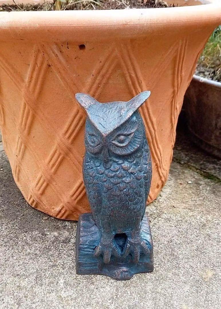 Inspirational Gifting Long Eared Owl Garden Sculpture in Bronze Metal Antique Finish – 2