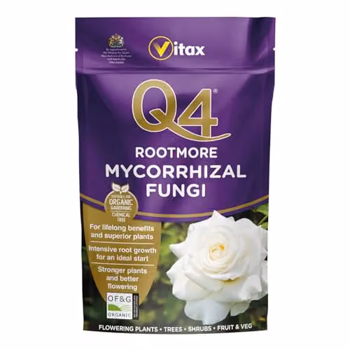 Vitax Q4 Rootmore Organic Mycorrhizal Fungi Rooting Powder, 250g – 1