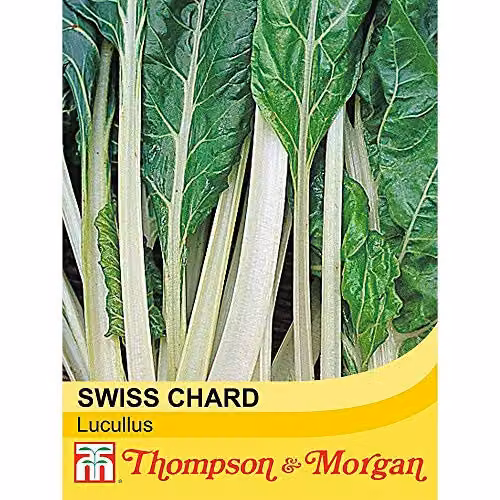Thompson and Morgan Swiss Chard Lucullus Vegetable Seeds, 200 Seeds per Packet – 2