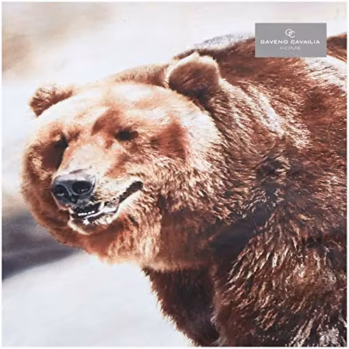 Gaveno Cavailia Wildlife 3D Bear Bed Set in Multicolour, featuring a Polyester-Cotton Duvet Cover (200 x 200 cm) and Pillowcase (50 x 75 cm) – 2