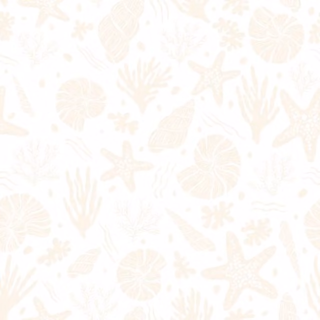 I Love Wallpaper Seastars and Seashells Maritime Wallpaper in Ivory and Yellow
