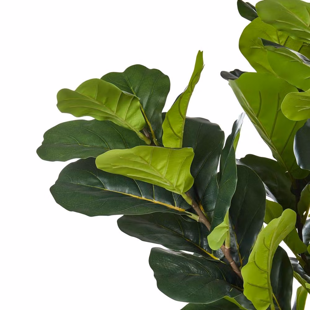 Wyld and Coco 162cm Artificial Green Mediterranean Fig Tree with Cement-Style Base – 3