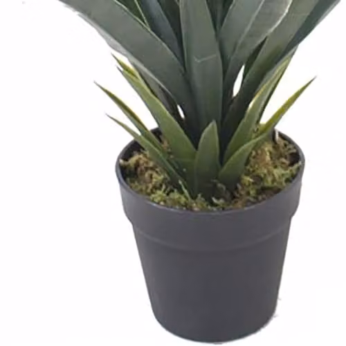 Leaf Green Artificial Agave Succulent Potted Plant, Height: 60 cm – 2