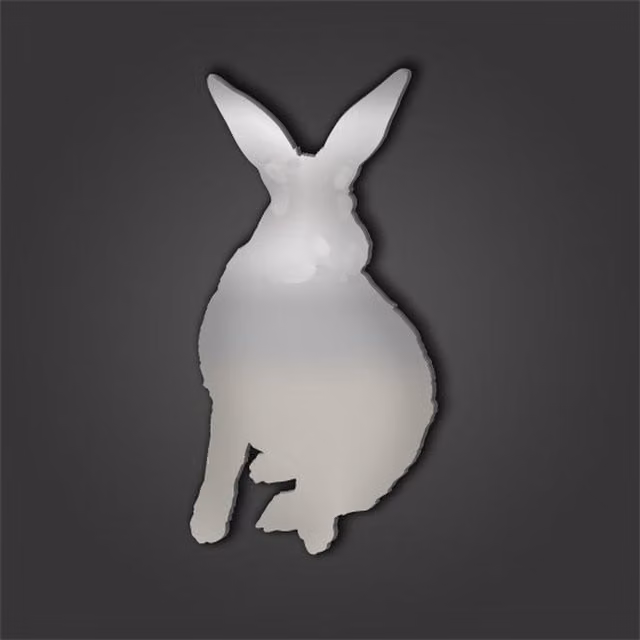 Rabbit Style 6 Silver Acrylic Wall Mirror, 50 cm Diameter